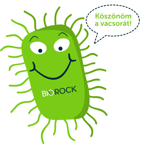 Baktériumok biorock